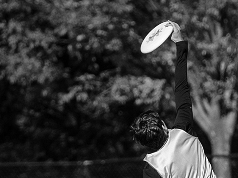 tourny_pic